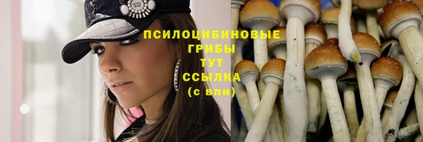 мет Баксан