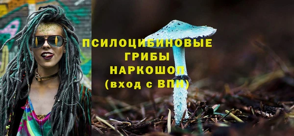 амф Балахна